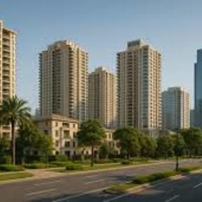 Purva Northern Lights